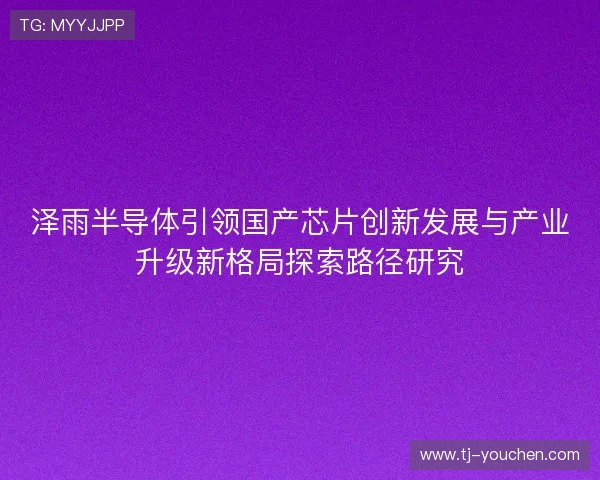 泽雨半导体引领国产芯片创新发展与产业升级新格局探索路径研究 泽雨半导体引领国产芯片创新发展与产业升级新格局探索路径研究