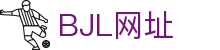 BJL平台(中国区)官网